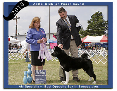 ACPS 2010 Best Opposite to Best Sweepstakes